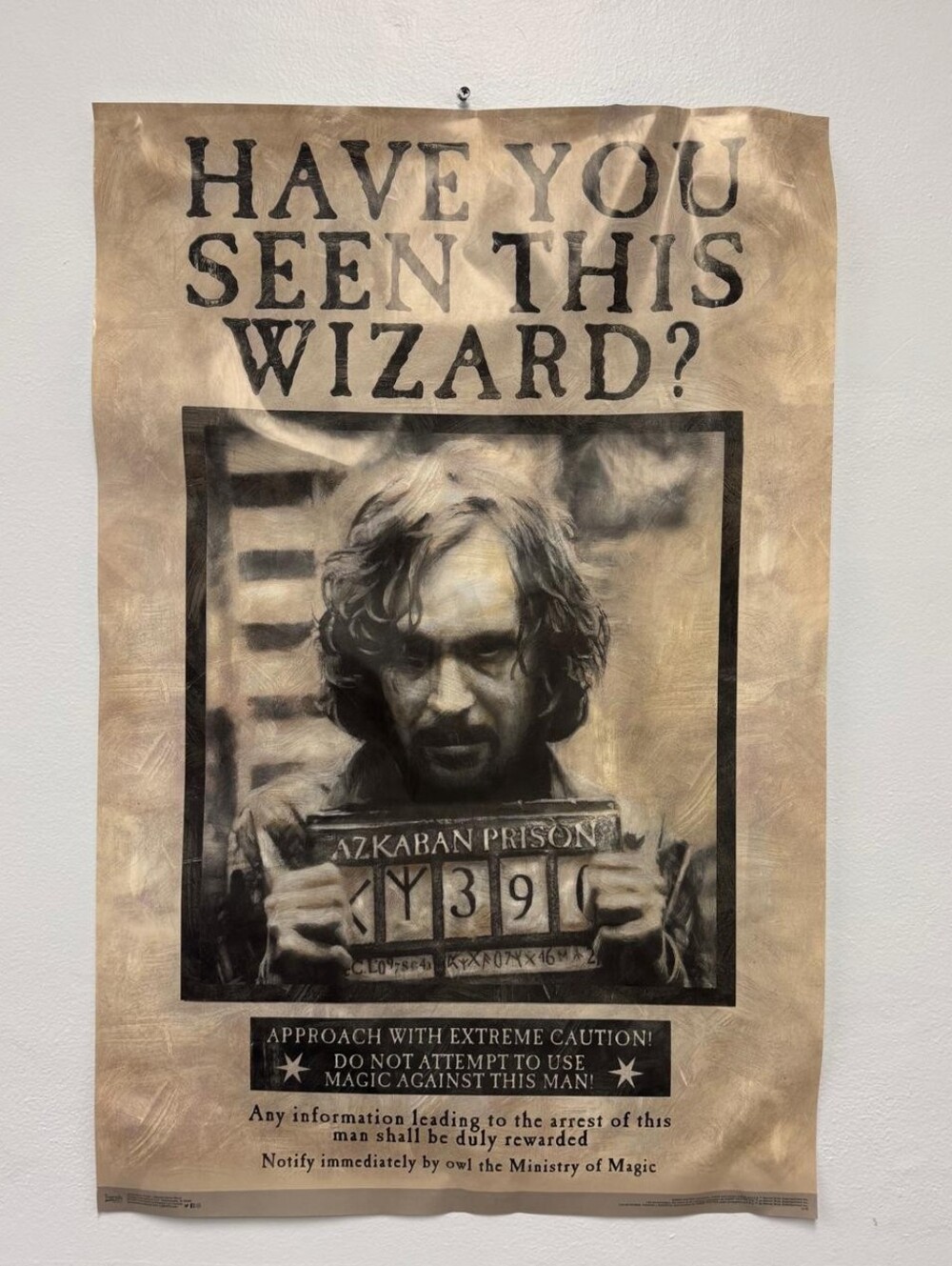Harry Potter Office/Classroom/Room Decor